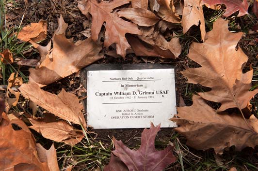 William Grimm Memorial - plaque