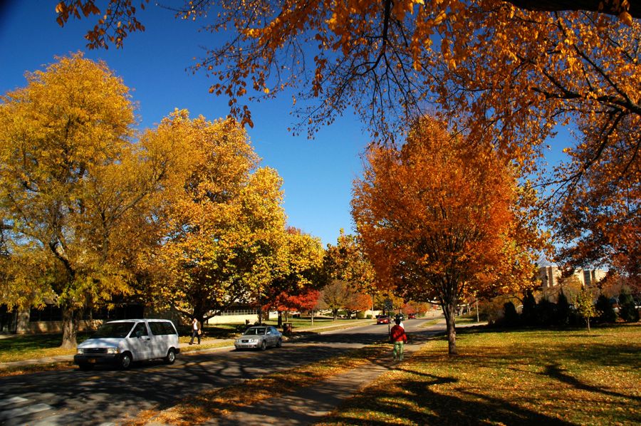 Fall Colors of KSU