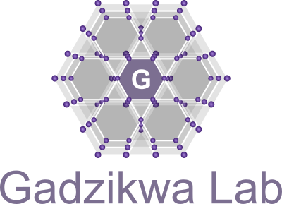 Gadzikwa Lab Logo