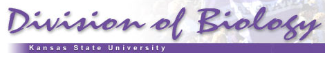 KSU Division of Biology