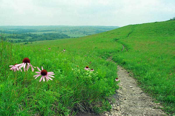 Konza Prairie