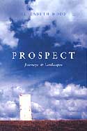 Cover of "Prospect"