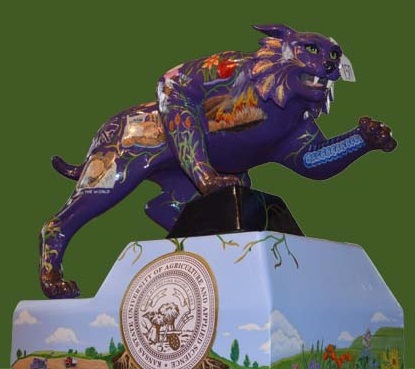 wildcat