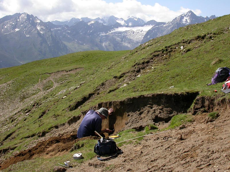 alps fieldwork