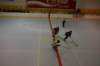 sg100404_small.jpg