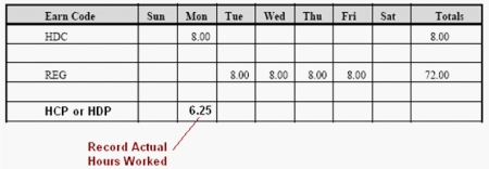 time sheet for 
scenario 1