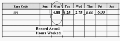 time sheet for 
scenario 2