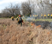 Kansas Forest Service