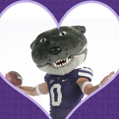 Willie Wildcat