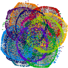 Social Network Graph