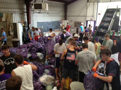 Acacia and Beta Theta Pi fraternity brothers for sorting recycling material