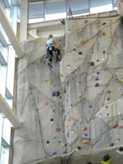 Climbing wall