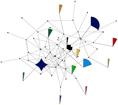 #bubble hashtag search on a Twitter graph with motifs identified (a NodeXL graph)