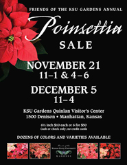 Poinsettia Sale Flyer