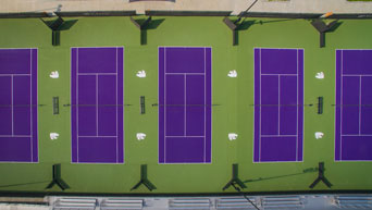 Purple tennis courts 