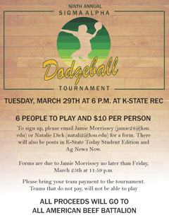 Tournament Flyer