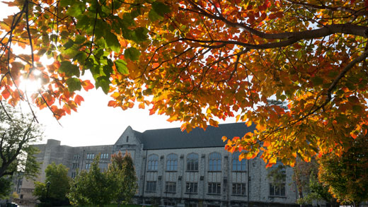 Hale Library in the fall