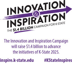 Inspiration and Innovation Extension logo