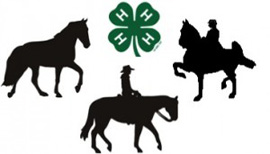 4-H Horse