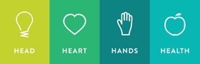 Head Heart Hands Health