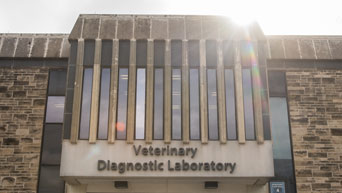 Veterinary Diagnostic Laboratory 