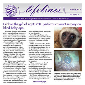 Lifelines - March 2017