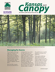 Kansas Canopy