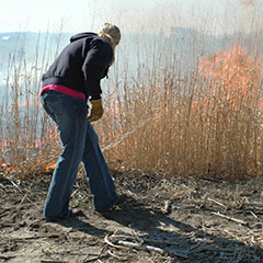 Using a drop torch to set a prescribed fire