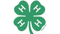 4-H Clover