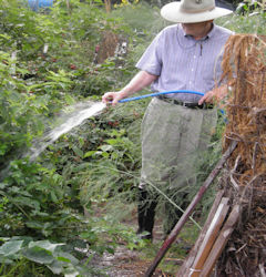 People of all ages and backgrounds participate in the Community Garden.