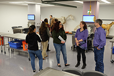 Students, faculty and staff of Kansas State University's College of Veterinary Medicine look over the newly renovated gross anatomy laboratory in Trotter Hall.