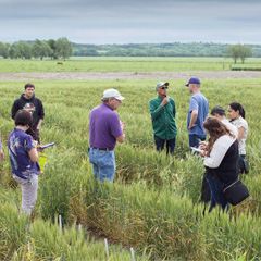 WGRC Field Day