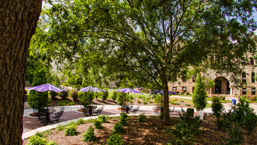 Purple umbrellas at Bluemont Hall's Holen Courtyard