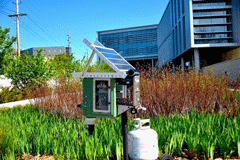 This Noisy Cow Flower is an autonomous, intelligent, and independently powered insect trap. It is one of the projects that will be on display at the Electrical and Computer Engineering Senior Design Expo, Thursday, May 9. 