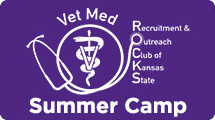 Vet Med ROCKS Camp logo