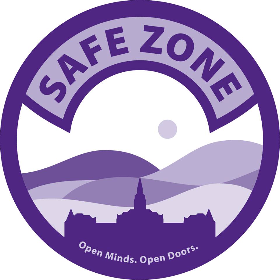 Safe Zone Logo