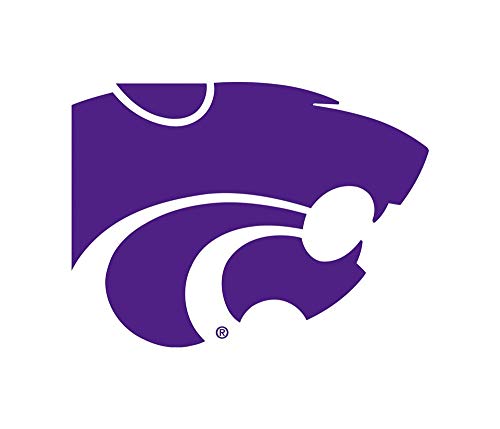 Powercat logo
