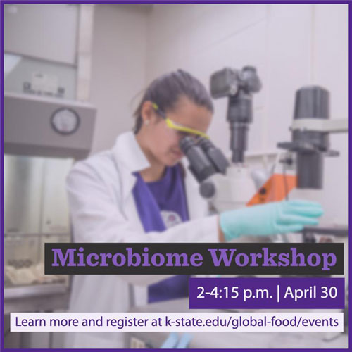 Woman in laboratory at Kansas State University