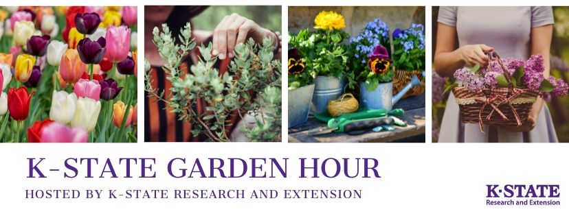 K-State Garden Hour Logo