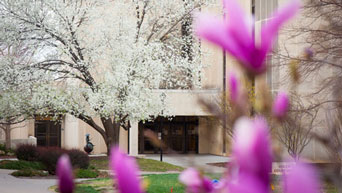 Spring on campus 
