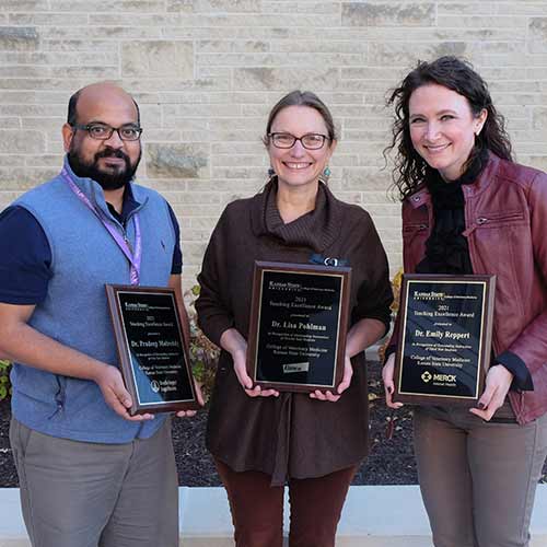 Drs. Pradeep Malreddy, Lisa Pohlman and Emily Reppert