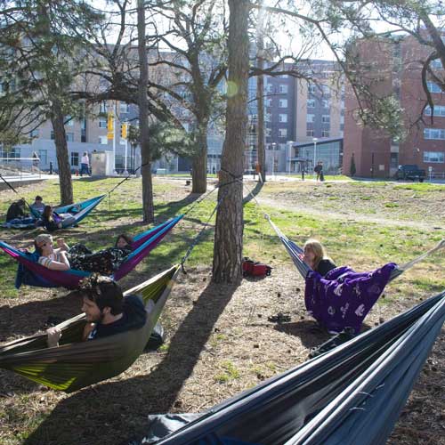 K-State Students Hammocking