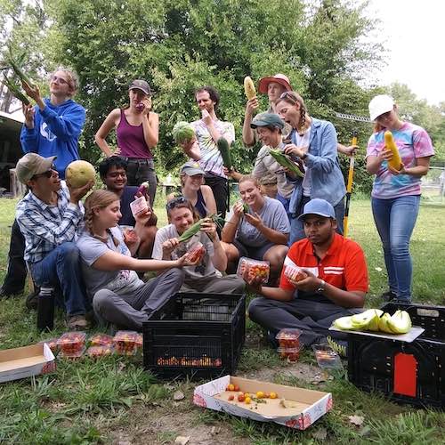 Students enjoying the fruits of their labors at the Willow Lake Student Farm