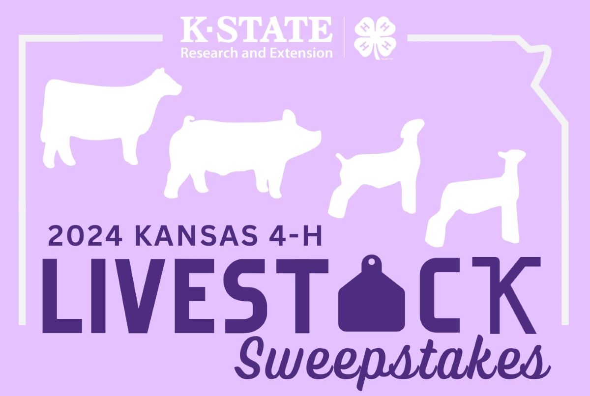 sweepstakes t-shirt design sweepstakes t-shirt design