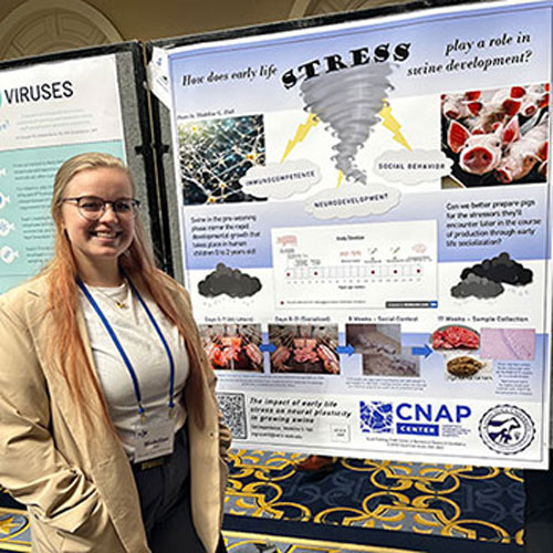 Fourth-year veterinary student Madeline Hall presents her research poster at swine conference