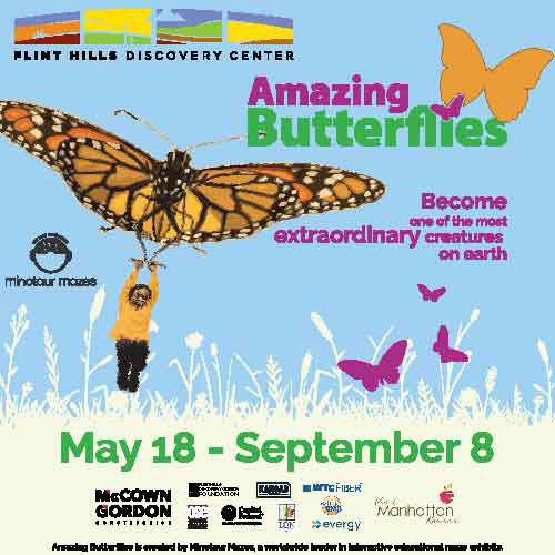 Flyer for Amazing Butterflies, on display at the FHDC May 18-September 8.