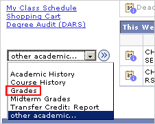 Picture of the Other Academic... drop list, with the Transfer Credit Report ooption highlighted