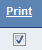 Select Print to print instructor in class schedule