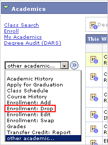 Picture of the Other Acaswmics drop list with Enrollment: Drop highlighted.