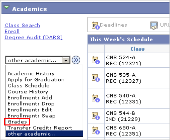Picture of the Other Academic... drop list with Grades marked.